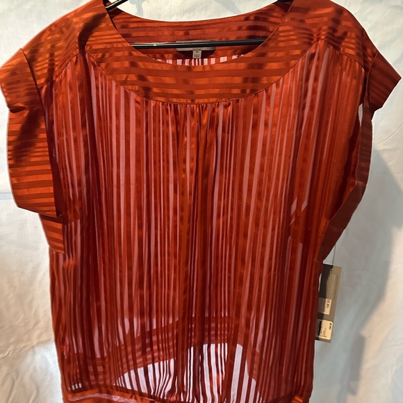 Classique Entier size xl silk sheer blouse. - Picture 6 of 7